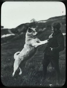 Image of Dog, Paws Against Boy